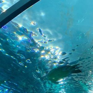 Meet your Posher, Kenna <3